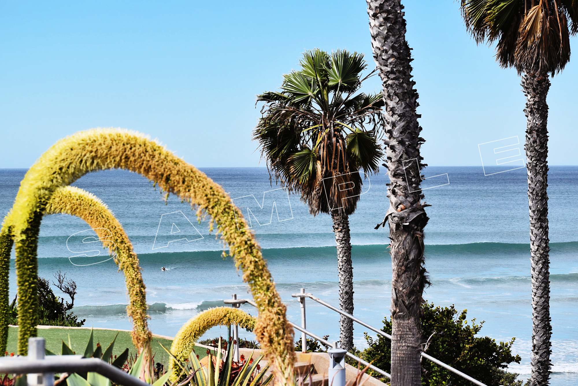 A tropical beach scene with palm trees, curving yellow plant fronds, and ocean waves. The word "SAMPLE" is overlaid on the image. A surfer can be seen riding a wave in the distance.